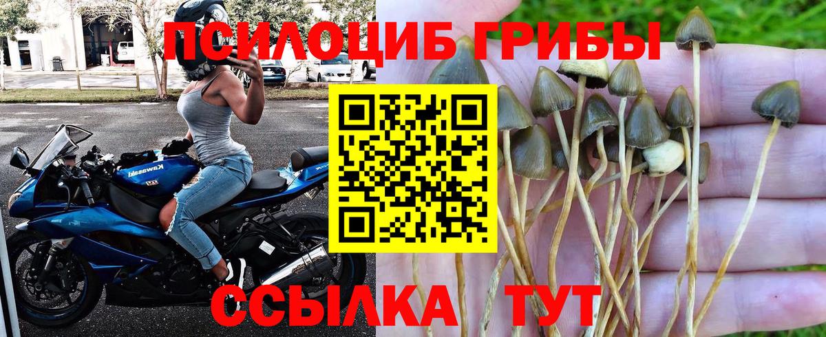 Псилоцибиновые грибы ЛСД  Вход с VPN  Галлюциногенные грибы прущие грибы  Коряжма 